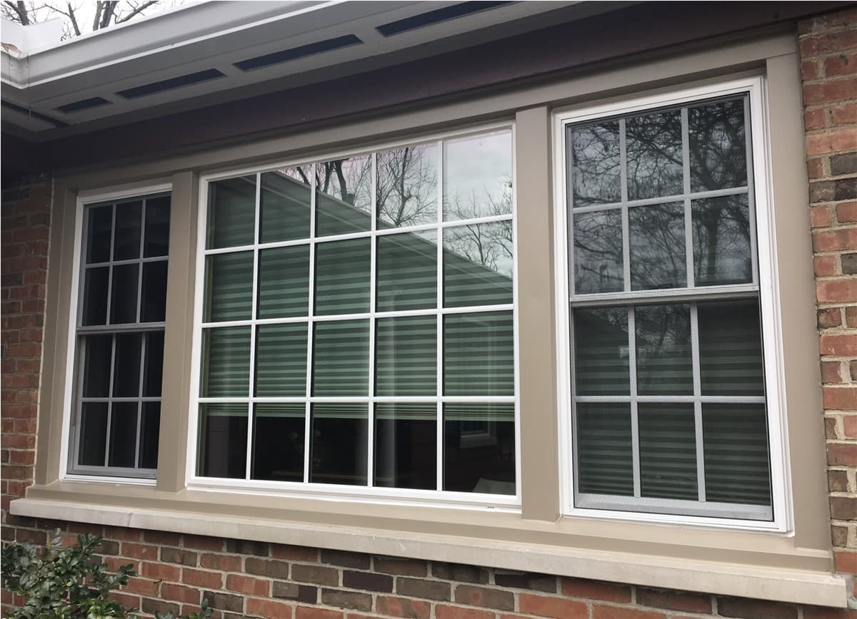 Window & Door Replacement